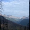 DSCN7992
