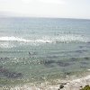 DSCN7348