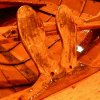 DSCN7543_0003_003